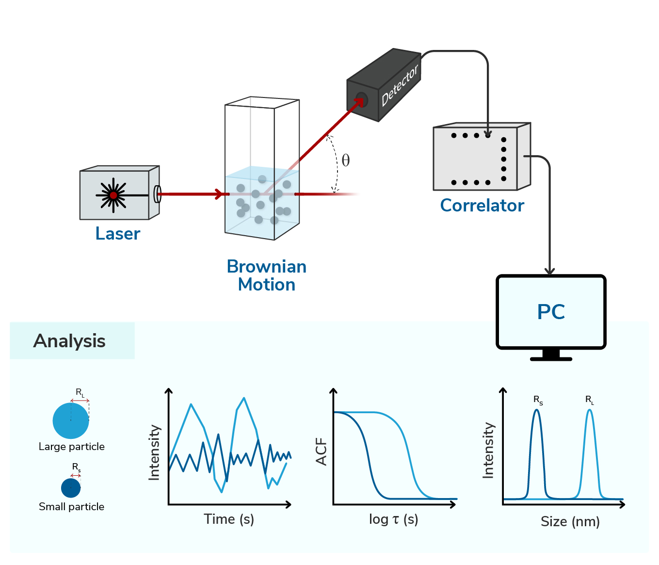 Figure 1. The image consists of two main parts: the top half is a schematic of a Dynamic Light Scattering (DLS) setup, and the bottom half shows the DLS analysis and comparison between large and small particles based on the measured data. Top: A laser source emits a monochromatic light that travels horizontally and enters a transparent sample container (a cuvette). Inside this cuvette, several blue particles are shown in random “Brownian” motion. A Single Photon Detector “SPD” is situated at an angle θ from the laser propagation to collect the scattering data from the sample. The correlator acquires and calculates the correlation of the timing data from the detectors in real time. A cable connects the correlator to a computer “PC”, where data analysis is performed. Bottom: Visualization of the different behavior of small and large particles in solution, represented as blue circles (dark and light blue, respectively) and with their hydrodynamic radius (Rs and RL, respectively). Three different analysis plots are shown underneath, from left to right: Left: Intensity vs. Time (s): Two jagged lines represent the fluctuations in light intensity over time.The large particle has slower and smoother fluctuations in light blue color. The small particle shows faster fluctuations in dark blue color. Middle: Autocorrelation Function (ACF) vs. log 𝜏 (s): This plot shows two autocorrelation curves that represent the diffusion behavior of particles suspended in the examined solution. The large particle's curve decays more slowly. The small particle's curve decays faster, reflecting quicker diffusion. Right: Intensity vs. Size (nm): A graph with two sharp Gaussian curves. The left peak is labeled Rs for the small particle. The right peak is labeled RL for the large particle, indicating a size distribution derived from the correlation data.