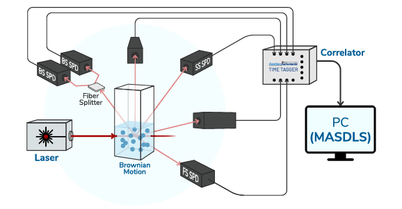 Figure 1. The image consists of two main parts: the top half is a schematic of a Dynamic Light Scattering (DLS) setup, and the bottom half shows the DLS analysis and comparison between large and small particles based on the measured data. Top: A laser source emits a monochromatic light that travels horizontally and enters a transparent sample container (a cuvette). Inside this cuvette, several blue particles are shown in random “Brownian” motion. A Single Photon Detector “SPD” is situated at an angle θ from the laser propagation to collect the scattering data from the sample. The correlator acquires and calculates the correlation of the timing data from the detectors in real time. A cable connects the correlator to a computer “PC”, where data analysis is performed. Bottom: Visualization of the different behavior of small and large particles in solution, represented as blue circles (dark and light blue, respectively) and with their hydrodynamic radius (Rs and RL, respectively). Three different analysis plots are shown underneath, from left to right: Left: Intensity vs. Time (s): Two jagged lines represent the fluctuations in light intensity over time.The large particle has slower and smoother fluctuations in light blue color. The small particle shows faster fluctuations in dark blue color. Middle: Autocorrelation Function (ACF) vs. log 𝜏 (s): This plot shows two autocorrelation curves that represent the diffusion behavior of particles suspended in the examined solution. The large particle's curve decays more slowly. The small particle's curve decays faster, reflecting quicker diffusion. Right: Intensity vs. Size (nm): A graph with two sharp Gaussian curves. The left peak is labeled Rs for the small particle. The right peak is labeled RL for the large particle, indicating a size distribution derived from the correlation data.