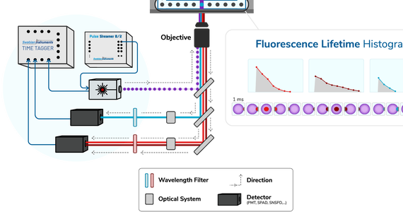 Fluorescence Lifetime Flow Cytometry (FLFC)