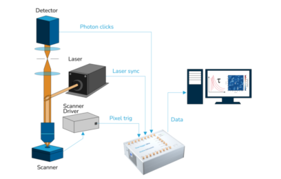 Fluorescence Lifetime Imaging (FLIM)