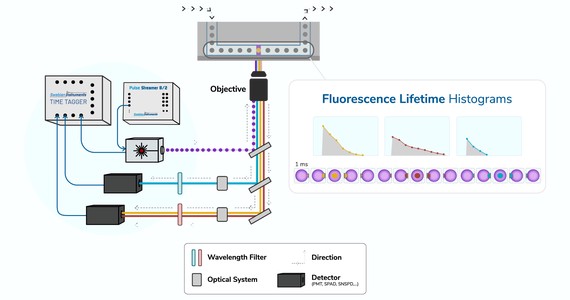 Fluorescence Lifetime Flow Cytometry