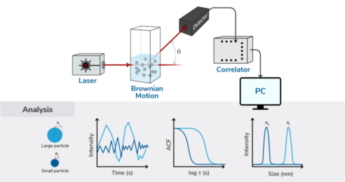Introduction to Particle Sizing with Dynamic Light Scattering System